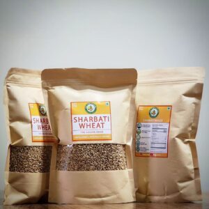 Whole Sharbati Wheat, Unpolished, 1Kg