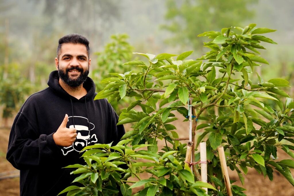 How to Plant 1000 Avocado Plants: Episode 1: Raised Beds and Land Preparation